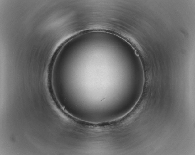 X0000115770991200911131213