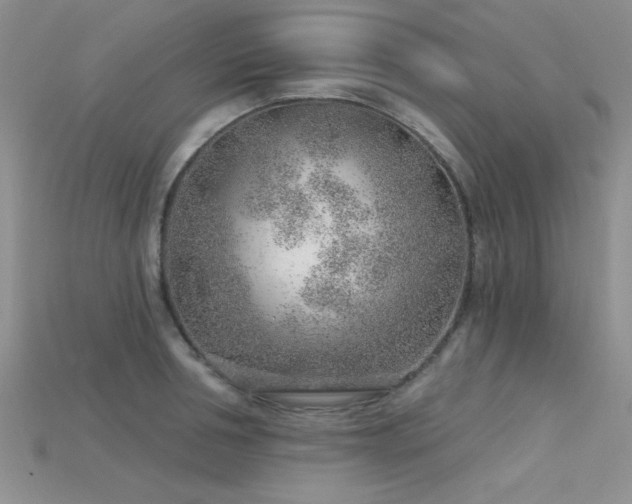 X0000115770994200911131213