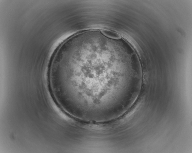 X0000115770995200911131213