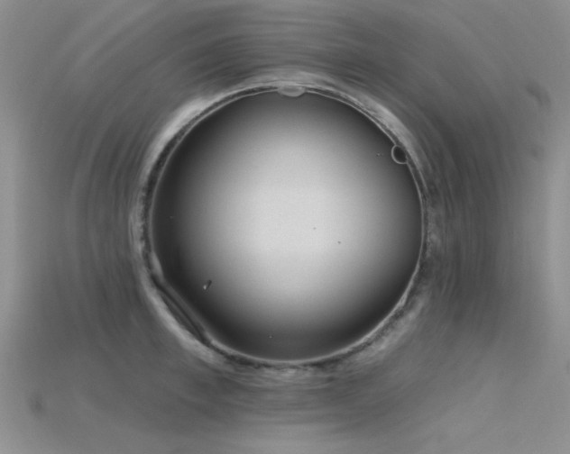 X0000115770997200911131213