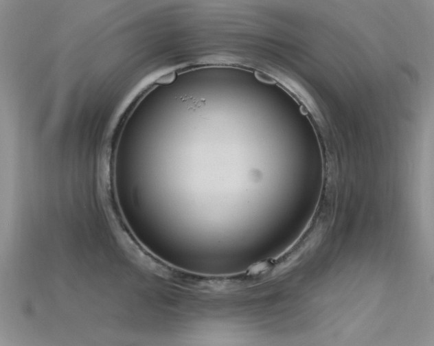X0000115771000200911131213