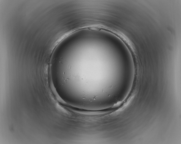 X0000115771001200911131213