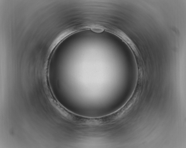 X0000115771002200911131213