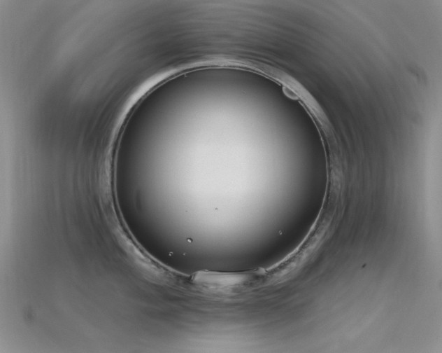 X0000115771004200911131213