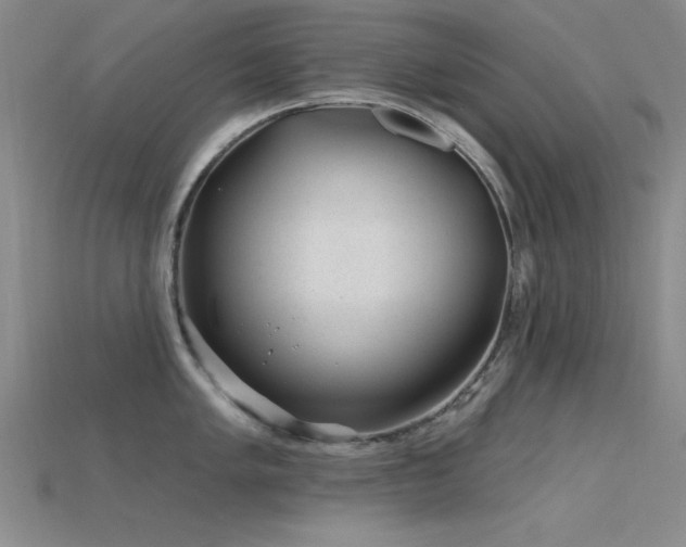 X0000115771005200911131213