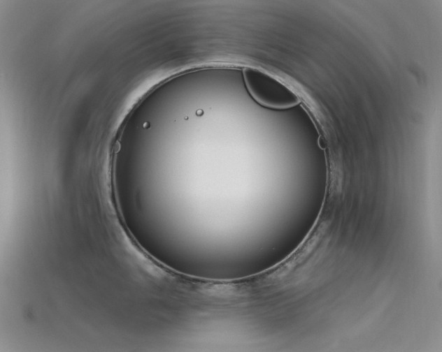 X0000115771006200911131213