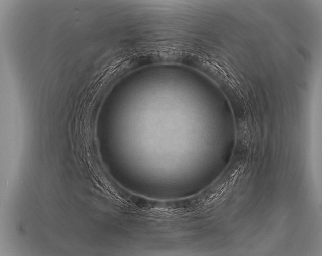X0000115771009200911131212