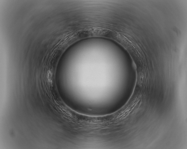 X0000115771010200911131212
