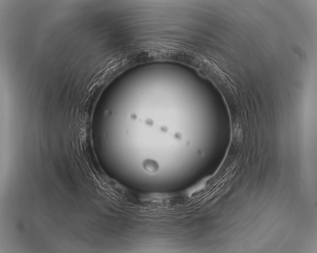 X0000115771012200911131212
