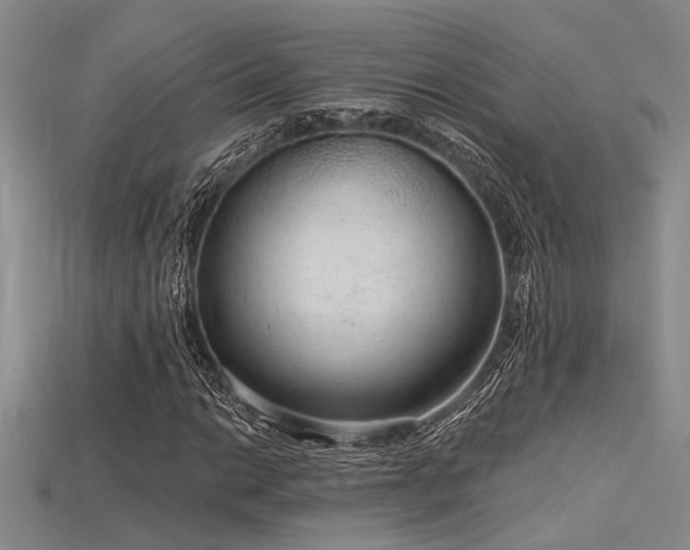 X0000115771014200911131212