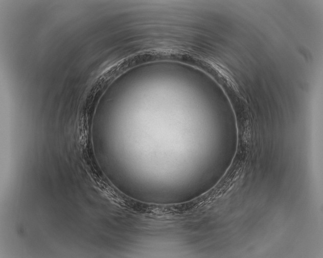 X0000115771015200911131212