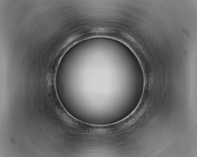 X0000115771017200911131212