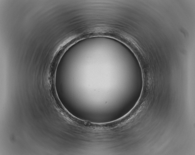 X0000115771018200911131212