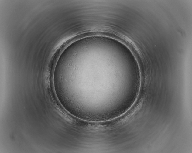 X0000115771019200911131212
