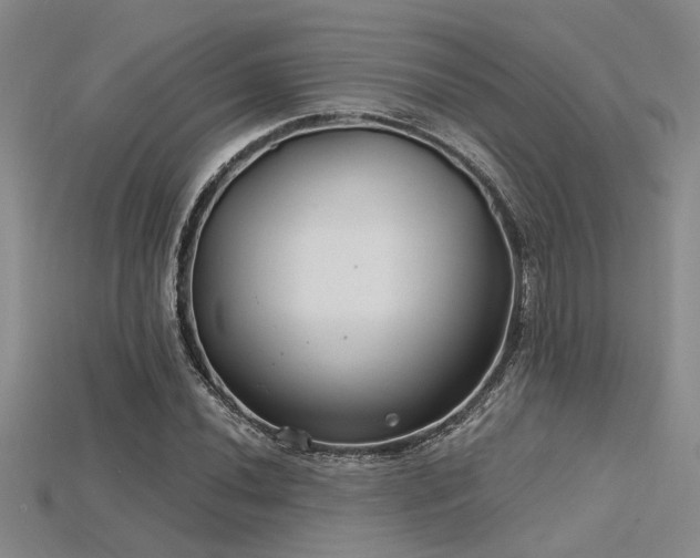 X0000115771020200911131212