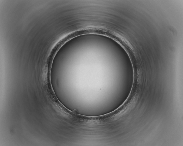 X0000115771021200911131212
