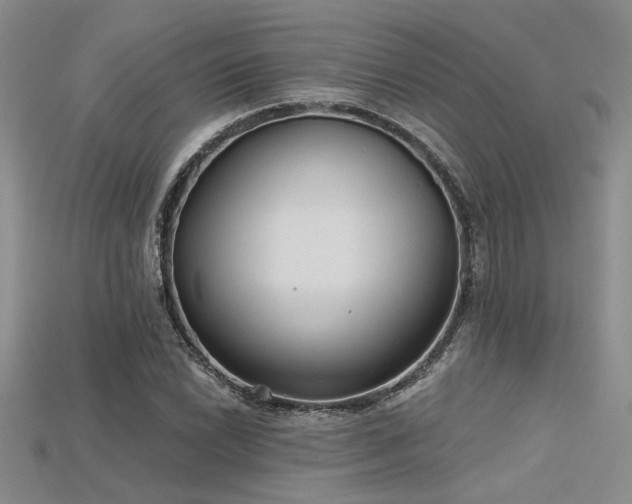 X0000115771022200911131212