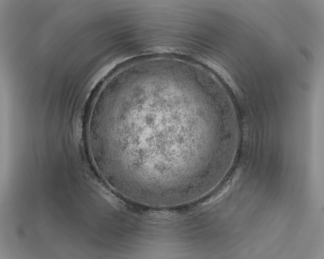 X0000115771023200911131212