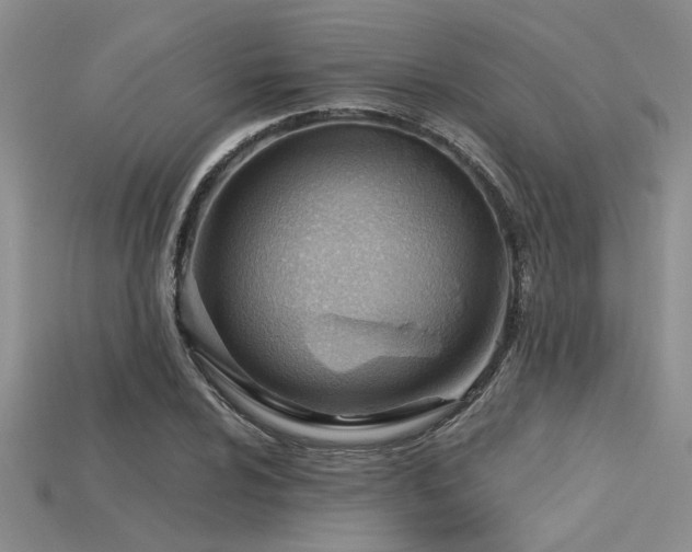 X0000115771024200911131212