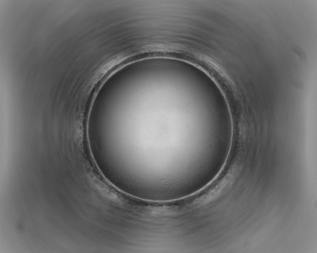 X0000115771025200911131212