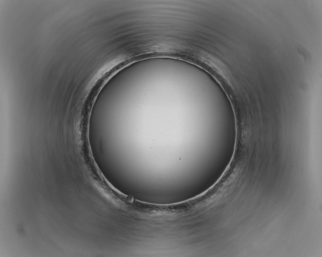 X0000115771026200911131212