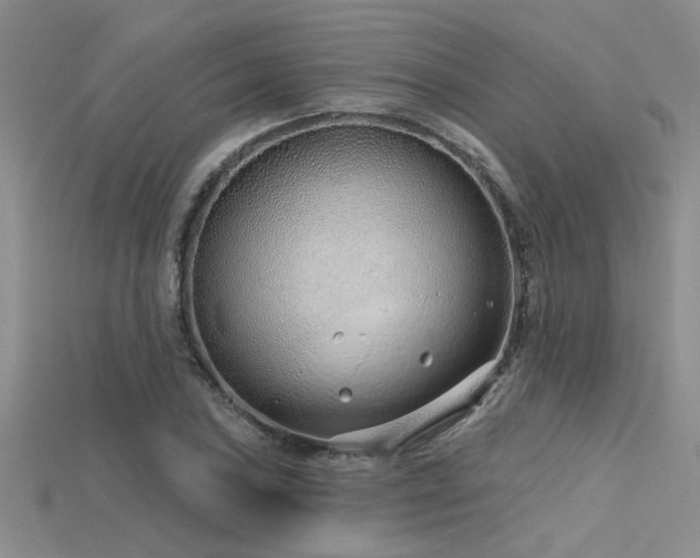 X0000115771027200911131212