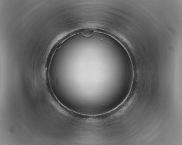 X0000115771029200911131213