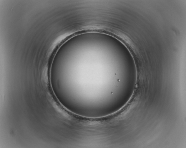 X0000115771030200911131213