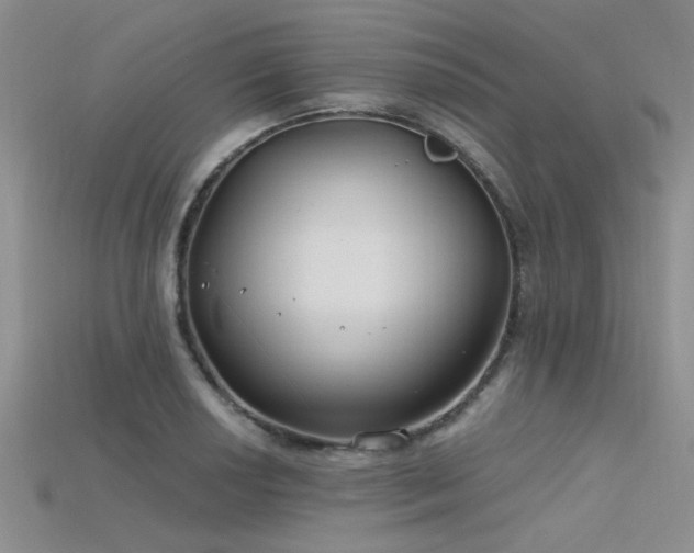 X0000115771034200911131213