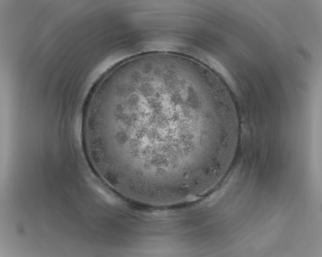 X0000115771035200911131213