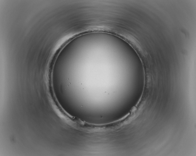 X0000115771038200911131213