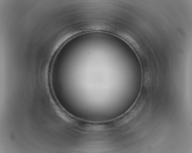 X0000115771039200911131213