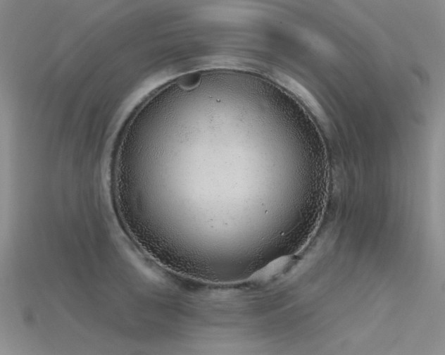X0000115771043200911131213