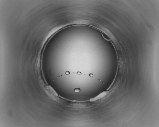 X0000115771044200911131213