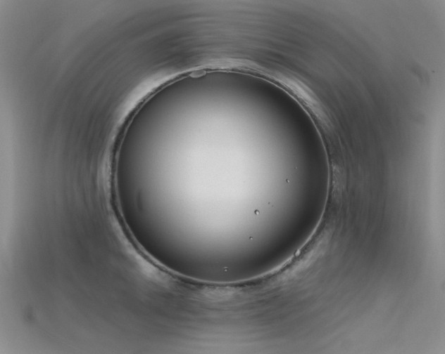 X0000115771046200911131213