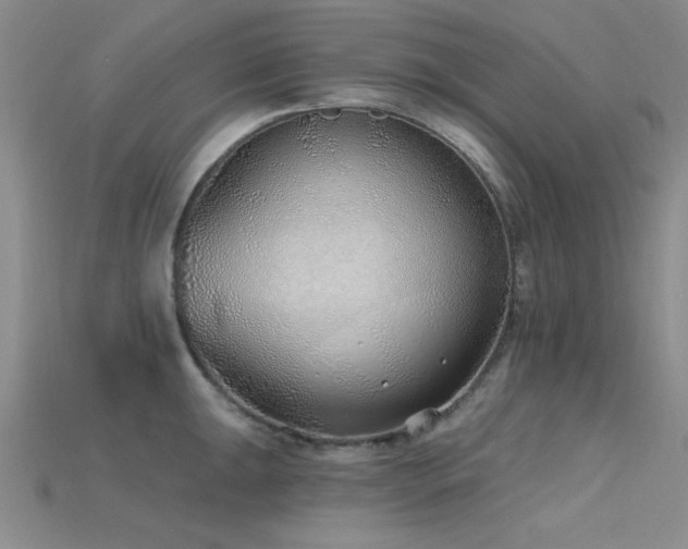 X0000115771047200911131213