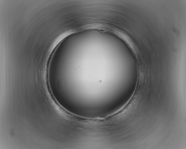 X0000115771050200911131213
