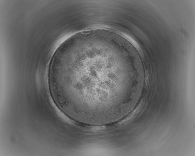 X0000115771055200911131213
