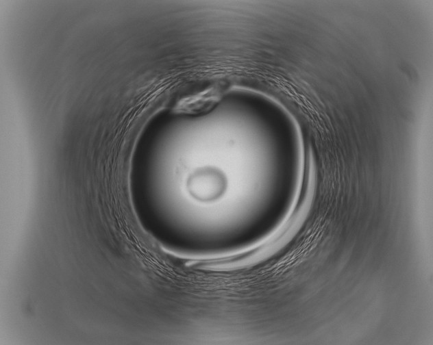 X0000115771057200911131212