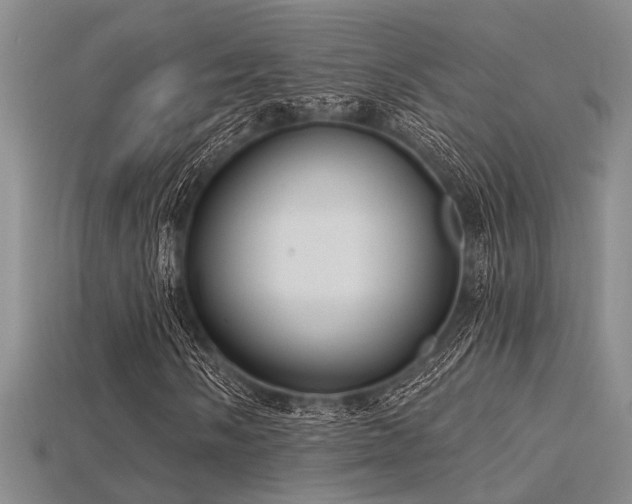X0000115771058200911131212