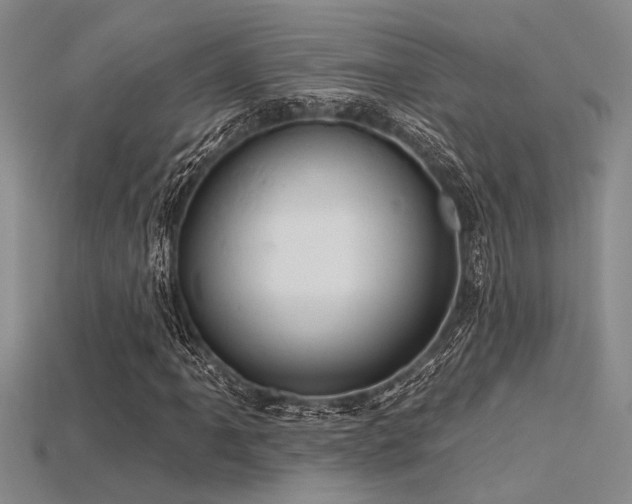 X0000115771061200911131212