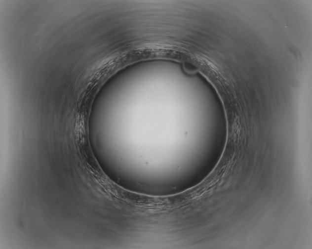 X0000115771062200911131212
