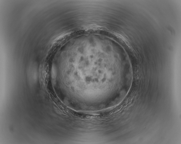 X0000115771063200911131212