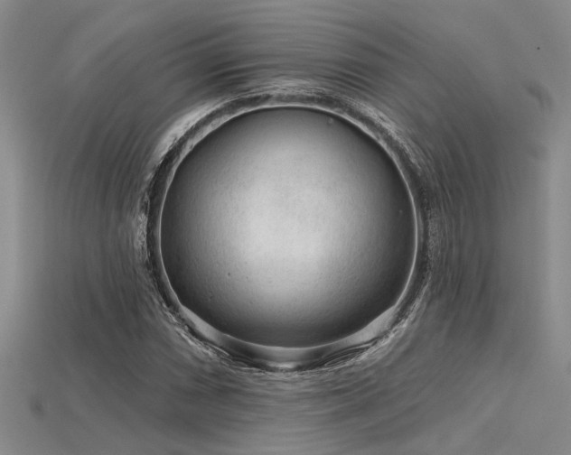 X0000115771066200911131212