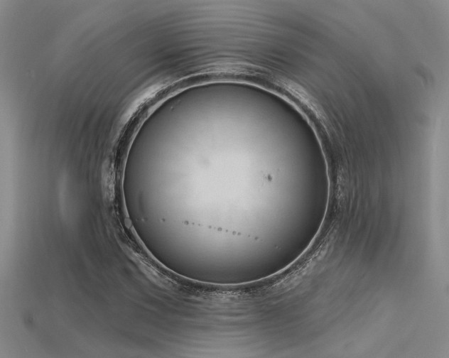 X0000115771067200911131212