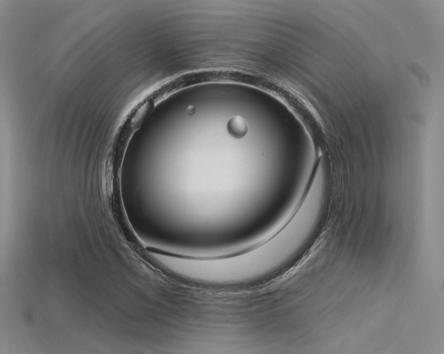 X0000115771069200911131212