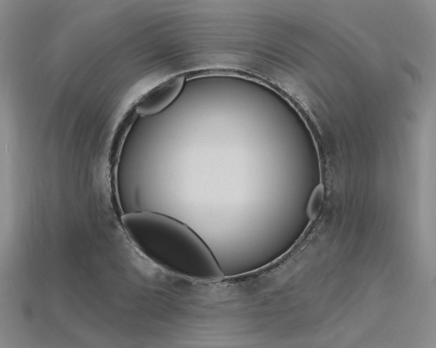 X0000115771072200911131212