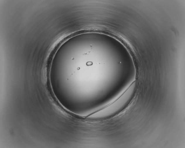 X0000115771075200911131212