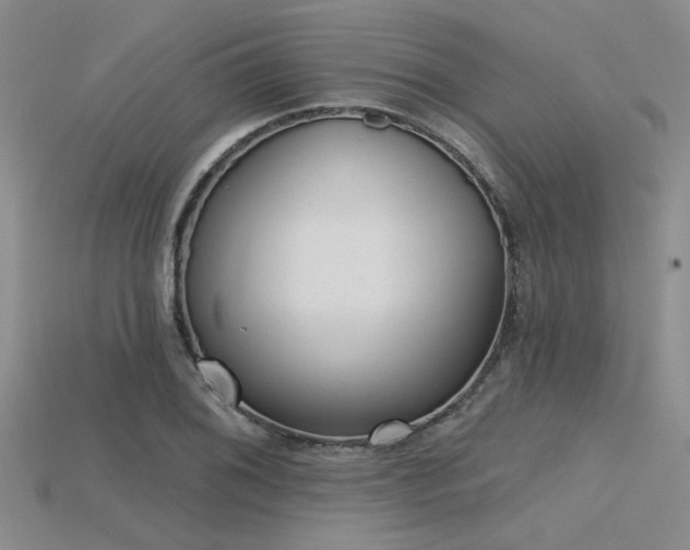 X0000115771076200911131212
