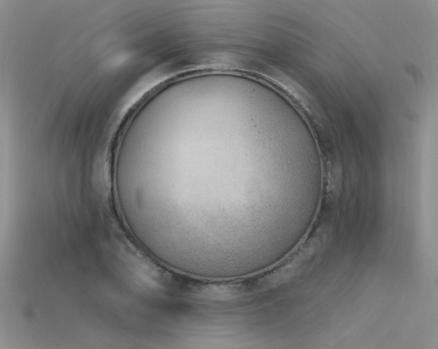 X0000115771078200911131212